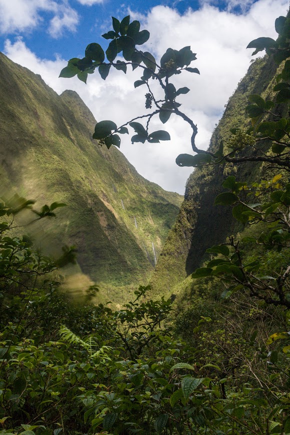 Blue Hole-Weeping Wall Adventure lush valley view